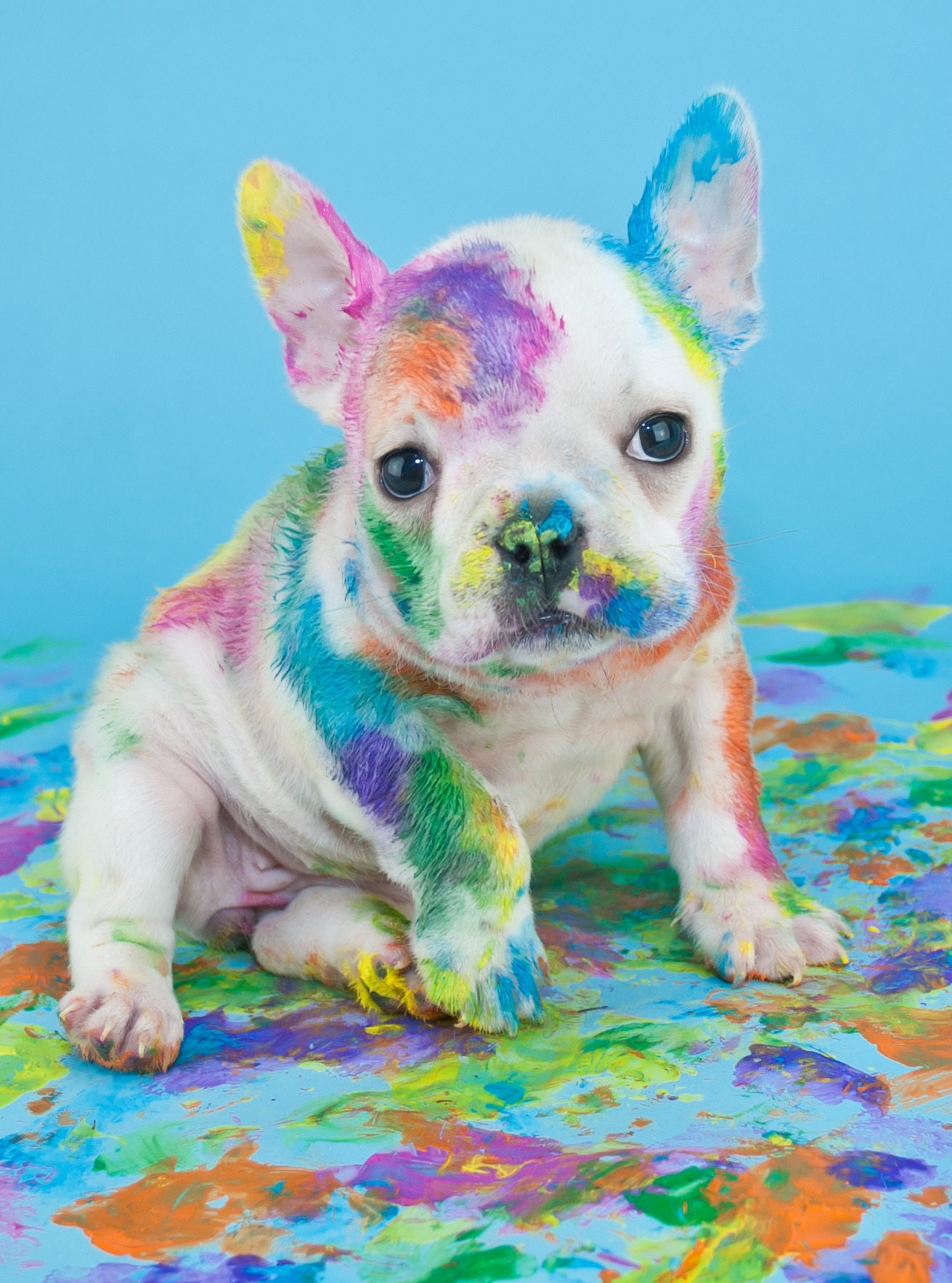 AdobeStock_99958822 (1)